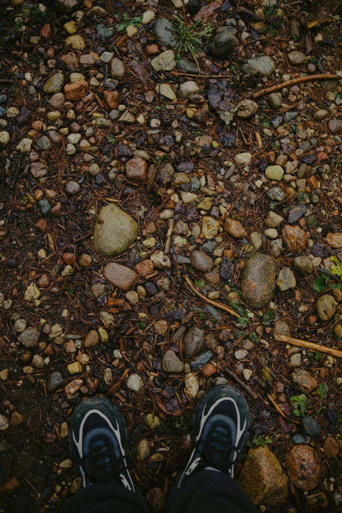 Walking shoes on a wet rocky forest path